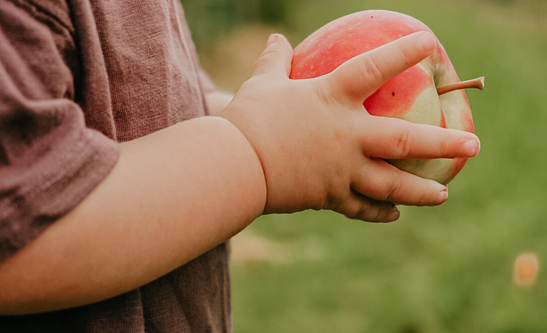 Foto gemaakt door Krista van Kempen